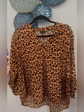 Zenobia Leopard Print V-Neck Blouse in Brown and Black
